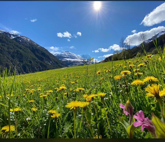 Appartamento Haus Anemone Steeg Esterno foto